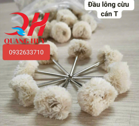 Lông cừu cán T